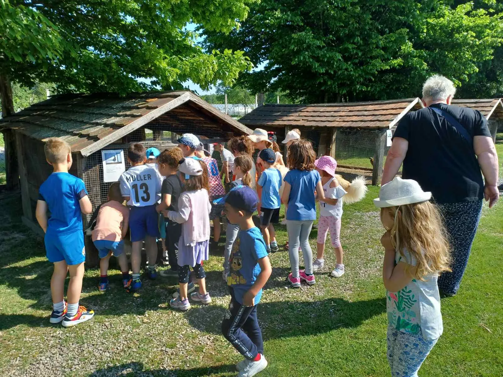 IMG c040f68afdea192fc3883efe998ac88c V