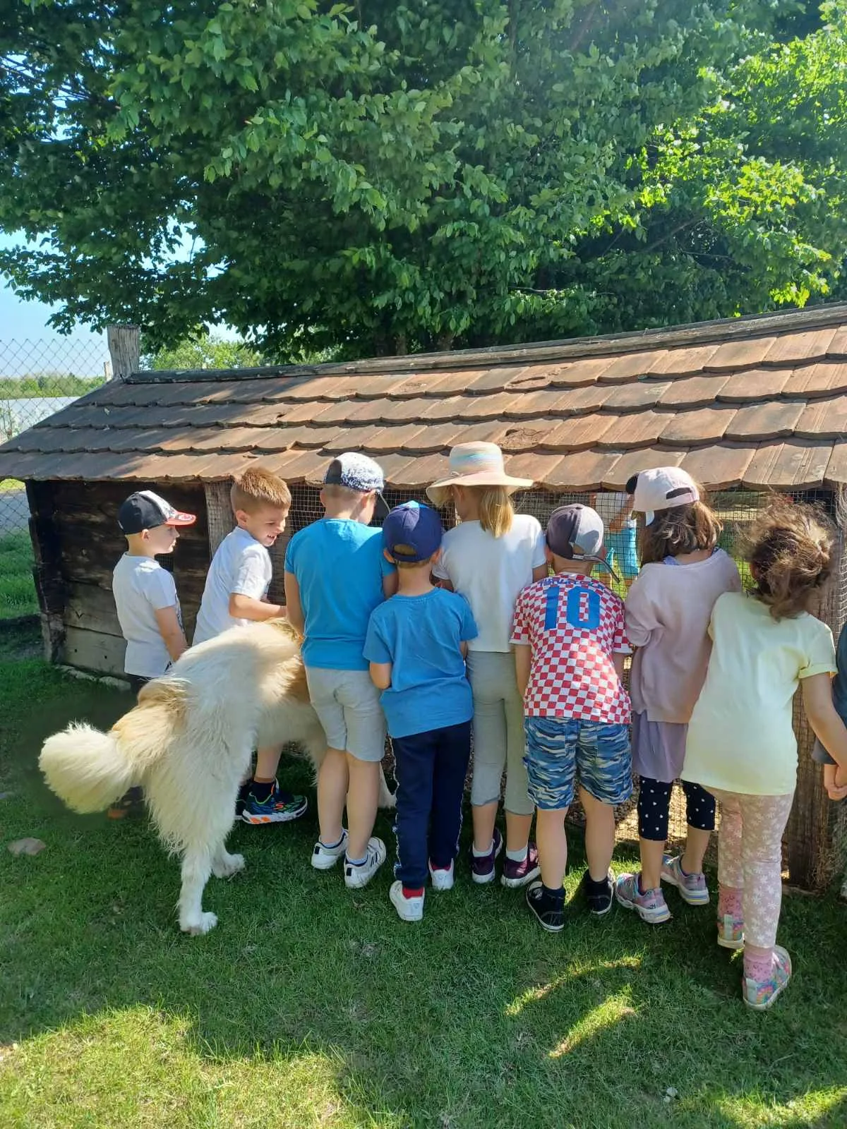 IMG d31811641292a5deb063885970d02a12 V (1)