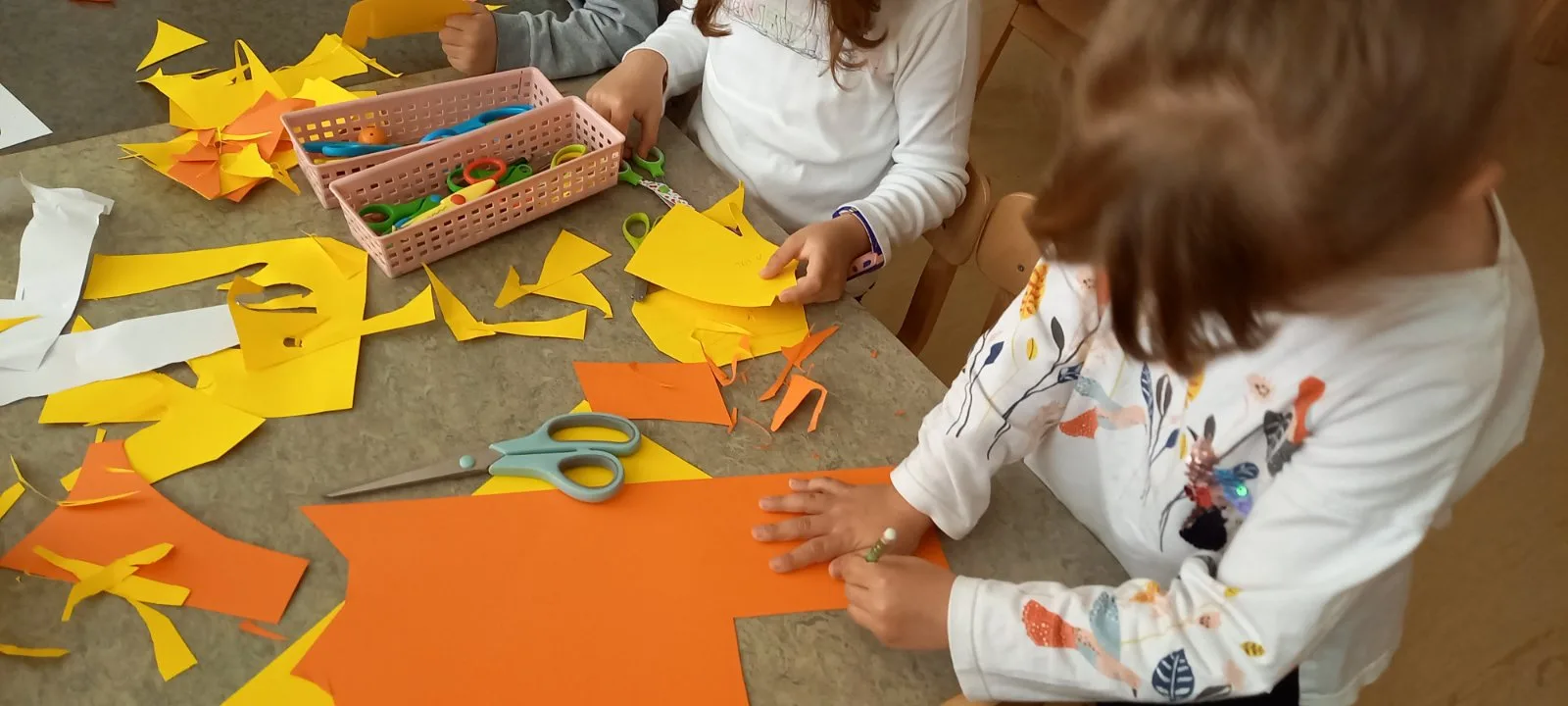 IMG e10f80f563248d713f22b9ffe8f31595 V