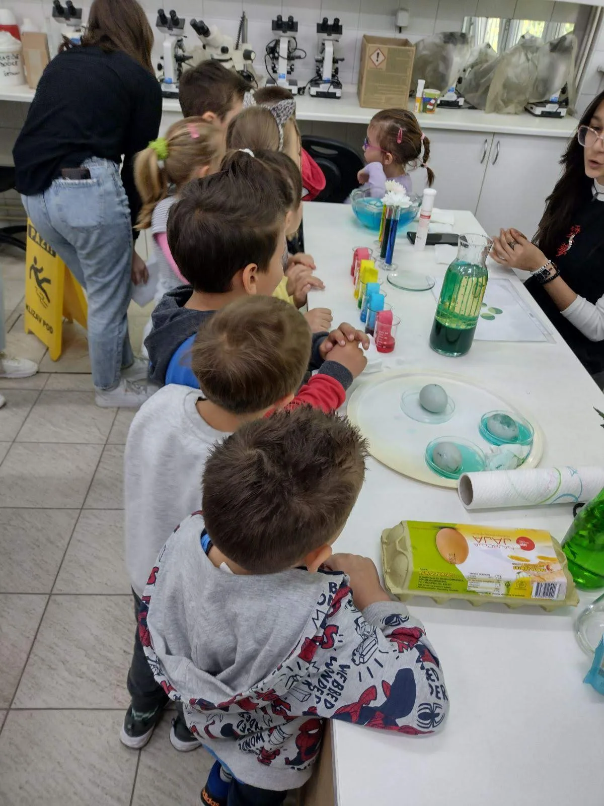 IMG e7b5545ded5dd45ec7f462dad49aa90e V