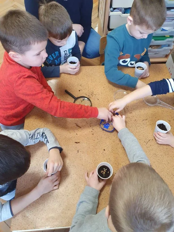 WhatsApp Slika 2022 12 14 u 04.16.08