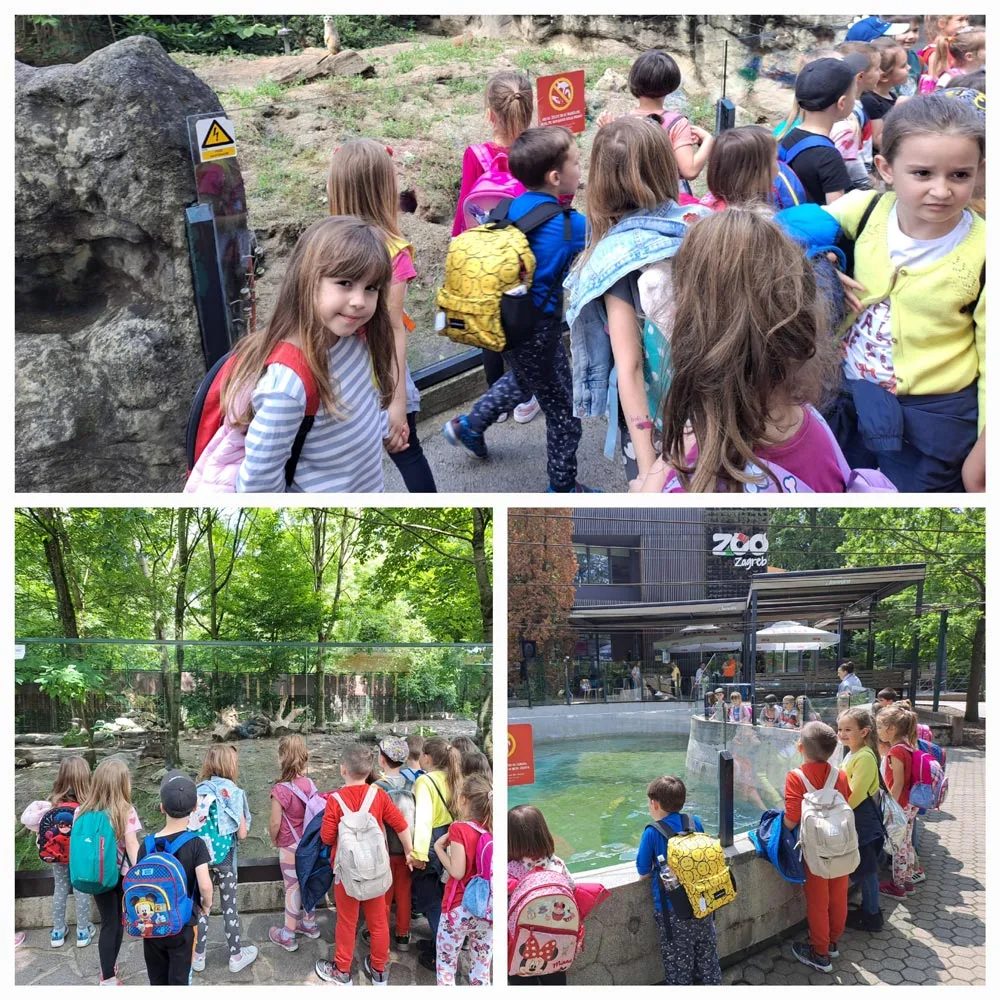 Trenutno pregledavate Sovice u Zoo vrtu u Zagrebu