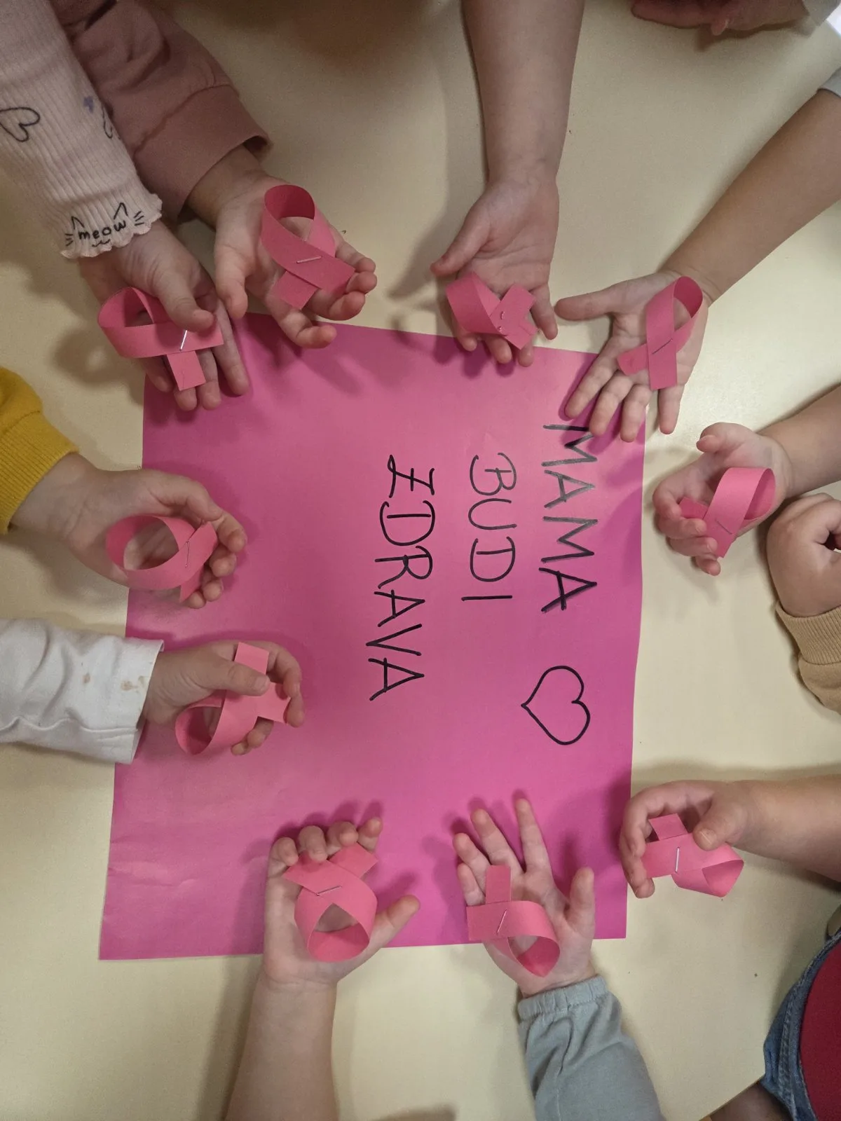 Trenutno pregledavate Projekt “Mama, budi zdrava”