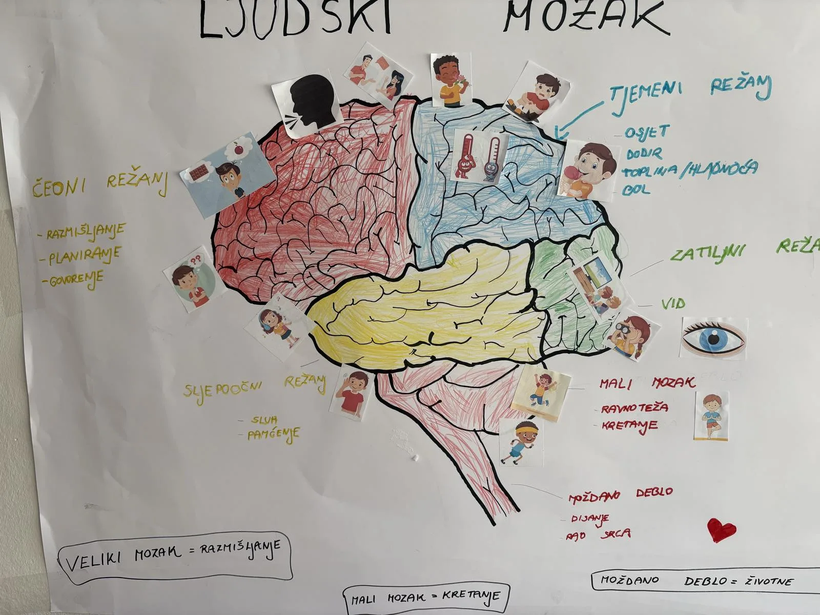 IMG 5da8441a69d7f30eff95b581cd266c18 V